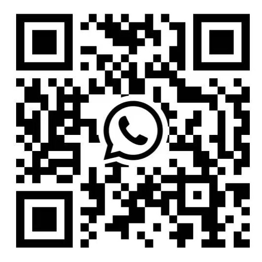 0818218729